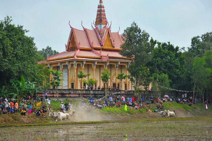  Cảnh các đội đang thi đấu trước chùa Rô năm 2019. Ảnh: Phạm Ngôn. 