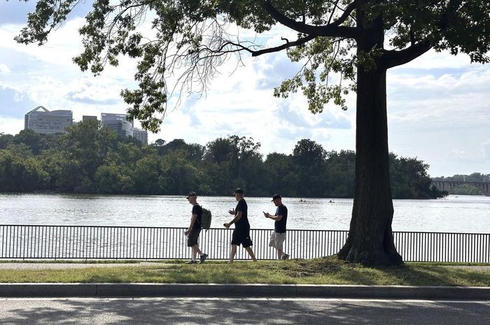 Đi dọc bờ Đông của Potomac, dễ dàng nhận thấy phần lớn diện tích ven sông là không gian mở