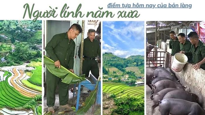 Trở về đời thường, những cựu chiến binh tiếp tục lao động, giúp đỡ đồng đội phát triển kinh tế và góp sức xây dựng quê hương