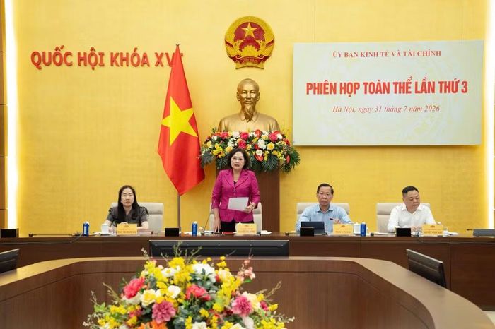 Phó Chủ tịch Quốc hội Nguyễn Thị Hồng phát biểu tại Phiên họp. (Ảnh: quochoi.vn)