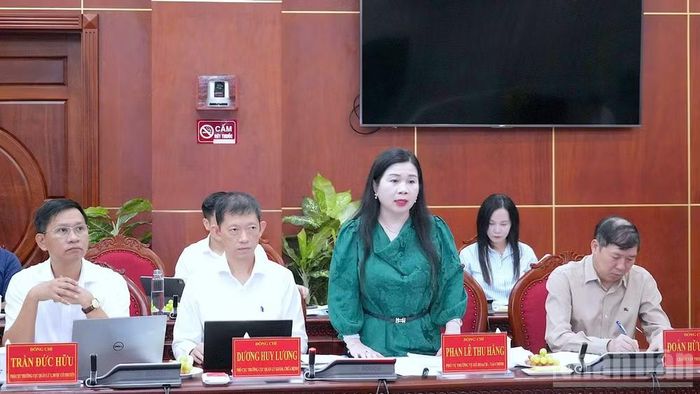 Thành viên đoàn công tác của Bộ Y tế trao đổi tại buổi làm việc với tỉnh Cà Mau.