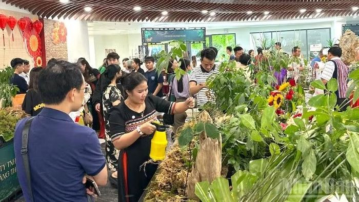 Rất đông người dân, du khách tham quan tại Không gian Sâm Ngọc Linh và Dược liệu tại Công viên APEC chiều 1/8.