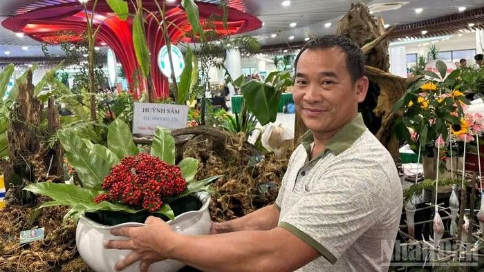 Hơn 80 gian hàng phục vụ người dân, du khách tại Không gian Sâm Ngọc Linh và Dược liệu tại Công viên APEC. (Ảnh: ANH ĐÀO)