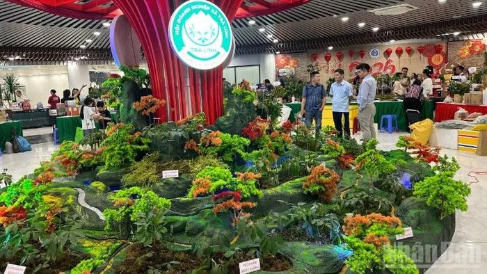 Mô phỏng hệ sinh thái rừng sâm Ngọc Linh tại lễ hội.