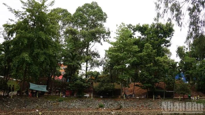 Vị trí tìm kiếm, quy tập hài cốt liệt sĩ tại khu B nằm phía sau hàng cây xanh.