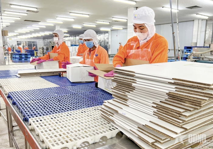  Hoạt động sản xuất tại Công ty TNHH MTV Ấn Độ Dương (Khu công nghiệp Thốt Nốt, TP Cần Thơ).