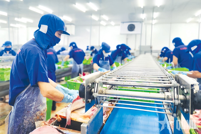  Hoạt động sản xuất tại Công ty Cổ phần Xuất nhập khẩu thủy sản Cần Thơ (Caseamex).
