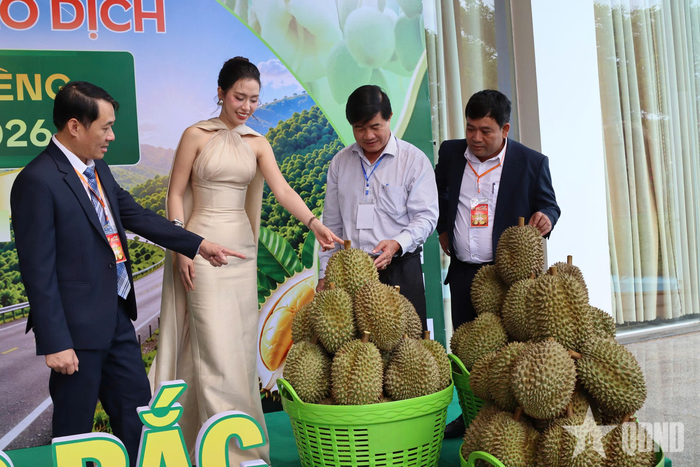  Sầu riêng tại xã Krông Pắc đạt tiêu chuẩn xuất khẩu. 