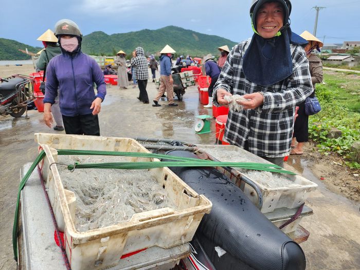 Người dân chở các khay nhựa chất đầy cá cơm bún