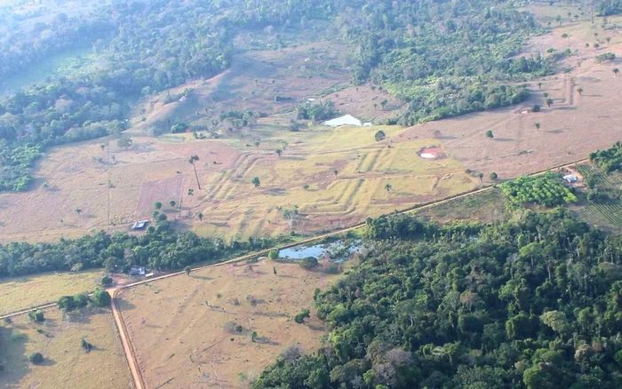 Di tích khảo cổ Tequino ở Acre, Brazil. Nguồn: Đại học Helsinki