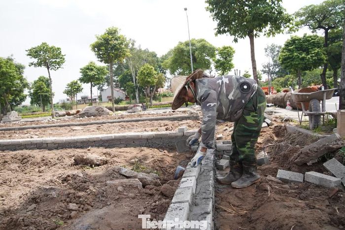 Sau khi làm sạch đất, các ô đất được xây gạch chia từng lô