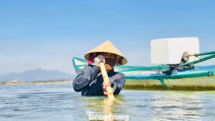 Người cào một tay cầm cán tre, tay còn lại tì thắt lưng lấy thế đi giật lùi. Công việc tưởng chừng đơn giản, nhưng để cào được don lại chẳng hề nhẹ nhàng.