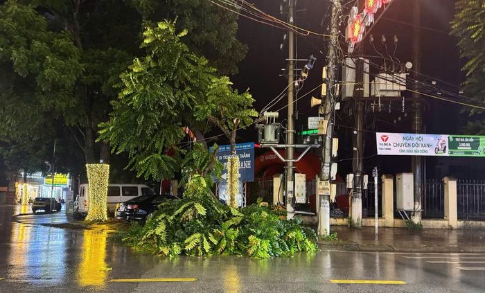 Mưa lớn kèm gió giật mạnh khiến gãy đổ cây trên nhiều tuyến đường.