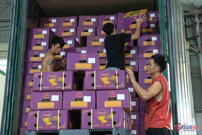 Mỗi container xuất khẩu, doanh nghiệp tốn cả trăm triệu đồng. Ảnh: Hải Dương