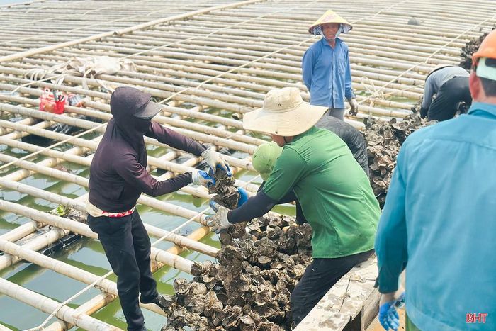 Xã Thạch Khê chú trọng quy hoạch, xây dựng các vùng nuôi tập trung, được cấp phép theo đúng quy định pháp luật nhằm nâng cao thu nhập, phát triển sinh kế bền vững cho người dân.