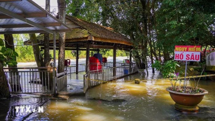 Dù thường xuyên bị ảnh hưởng khi hồ Dầu Tiếng vận hành xả lũ nhiều hộ dân vẫn duy trì hoạt động kinh doanh do lợi ích trước mắt. (Ảnh: Minh Phú/TTXVN)