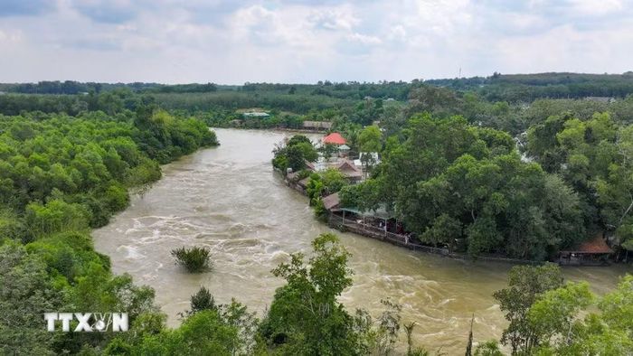 Không gian thoát lũ hồ Dầu Tiếng đang chịu áp lực từ hoạt động sử dụng đất và xây dựng công trình dọc hai bên dòng chảy. (Ảnh: Minh Phú/TTXVN)
