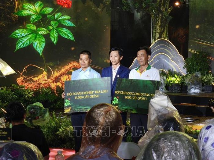 Đại diện các Hiệp hội doanh nghiệp trao tặng cây sâm giống cho đồng bào vùng trồng Sâm Ngọc Linh.