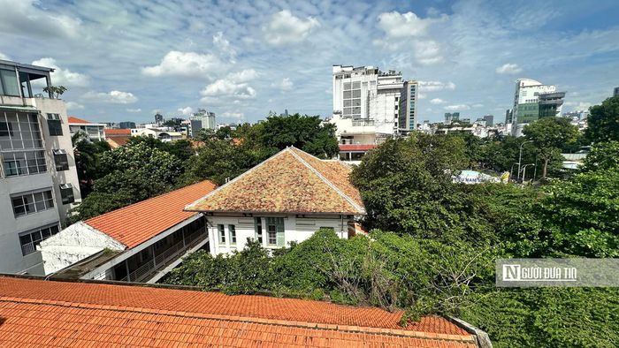 Biệt thự 124 Cách Mạng Tháng Tám nằm giữa "rừng cây" ngay trung tâm TP.
