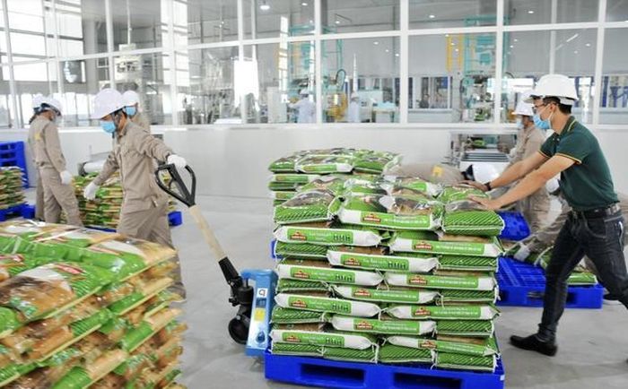 Quý II/2026, doanh thu thuần của Vinaseed đạt 502,6 tỷ đồng, giảm 24,8% so với mức 668 tỷ đồng cùng kỳ năm 2025 (Ảnh: Vinaseed).