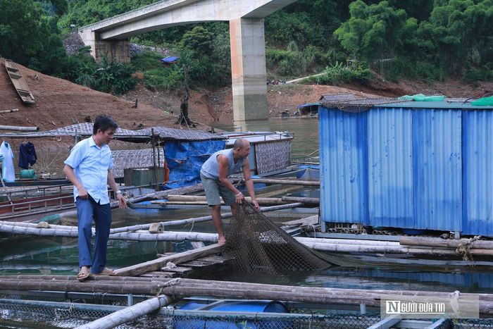 Nghề nuôi cá lồng giúp người dân vùng cao thoát nghèo.