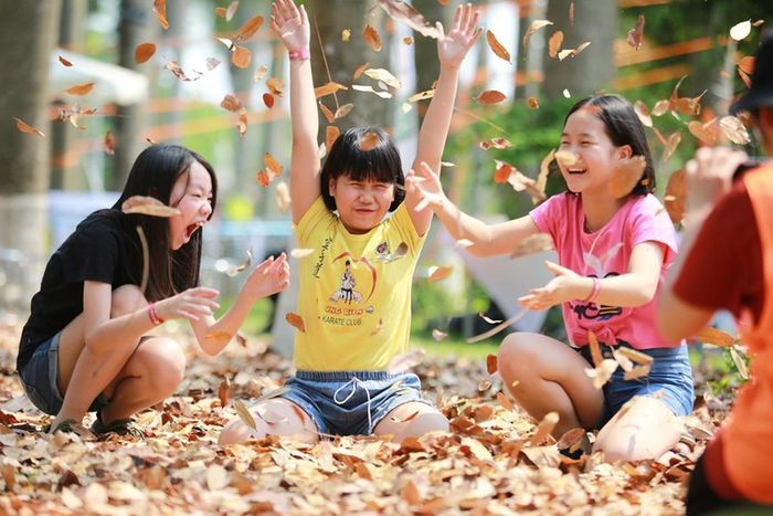 Cần coi thiết kế bao trùm không phải phần việc bổ sung sau khi công trình hoàn thành, mà là nguyên tắc cần được tích hợp ngay từ khi xây dựng chính sách