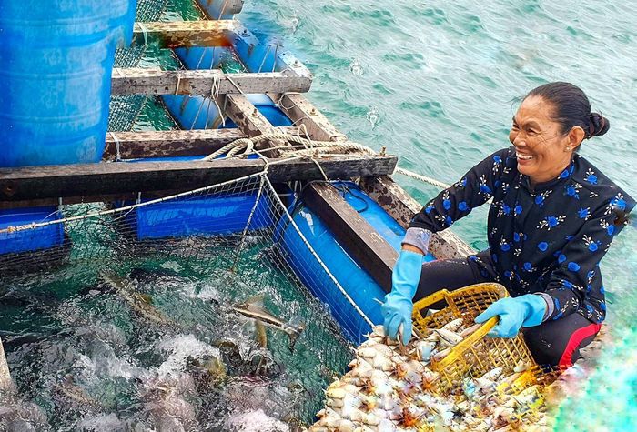 Dự thảo Luật Tài nguyên, môi trường biển và hải đảo (sửa đổi) bổ sung quy định về giấy chứng nhận quyền sử dụng khu vực biển và hệ thống hồ sơ quản lý dữ liệu biển.