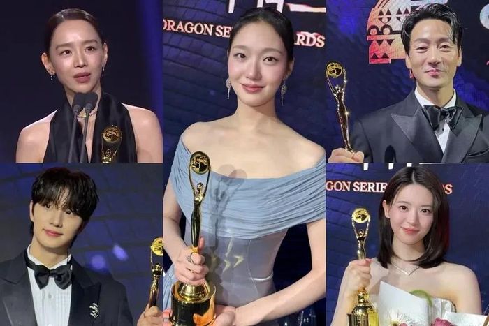 Shin Hye Sun (góc trên bên trái: Nữ diễn viên chính xuất sắc nhất) - Kim Jae Won (góc dưới bên trái: Nam diễn viên mới xuất sắc nhất) - Kim Go Eun (ở giữa trung tâm: Giải Daesang danh giá) - Park Hae Soo (góc trên bên phải: Nam diễn viên chính xuất sắc nhất) - Jeon So Young (góc dưới bên phải: Nữ diễn viên mới xuất sắc nhất). Ảnh: soompi