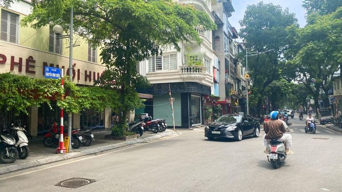 Tuyến đường Nguyễn Đình Chiểu đi qua khu dân cư hiện tại.