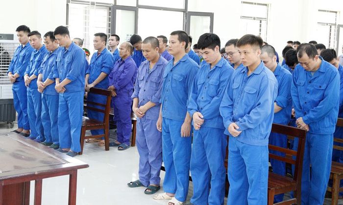  Các bị cáo tại tòa (Ngô Quang Vỹ đứng hàng đầu, ngoài cùng bên phải). 