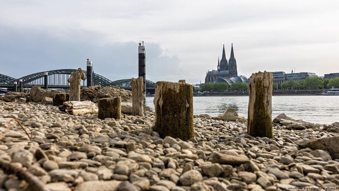 Mực nước sông Rhine liên tục ở mức thấp kể từ cuối tháng 5/2026. Ảnh: Marc John/Bonn.digital/picture alliance