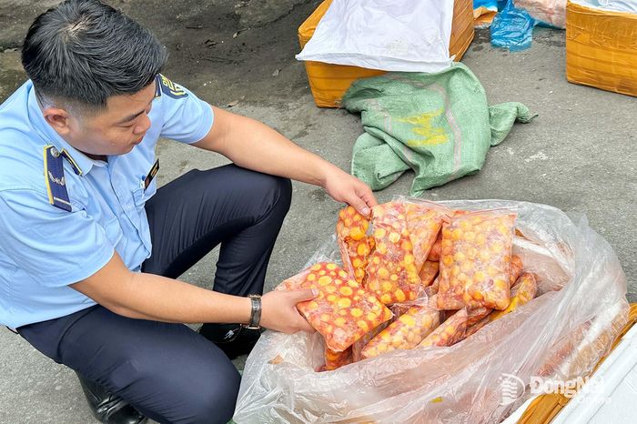 Đội quản lý thị trường cơ động phát hiện trứng non đông lạnh trên xe. Ảnh: Quốc Vinh