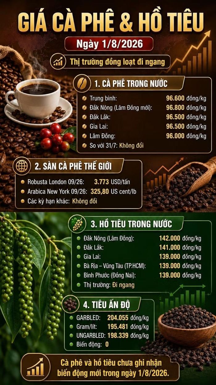 Infographic (AI)