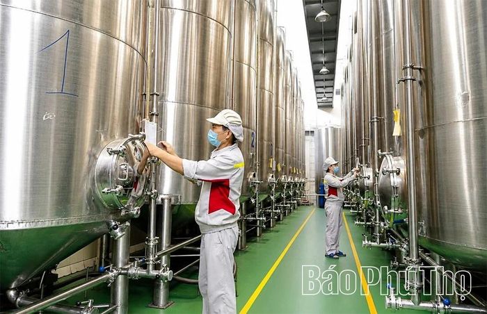 Hệ thống bồn inox chuyên dụng dùng để lưu trữ mật ong của Công ty Cổ phần Ong Tam Đảo, xã Xuân Lãng.