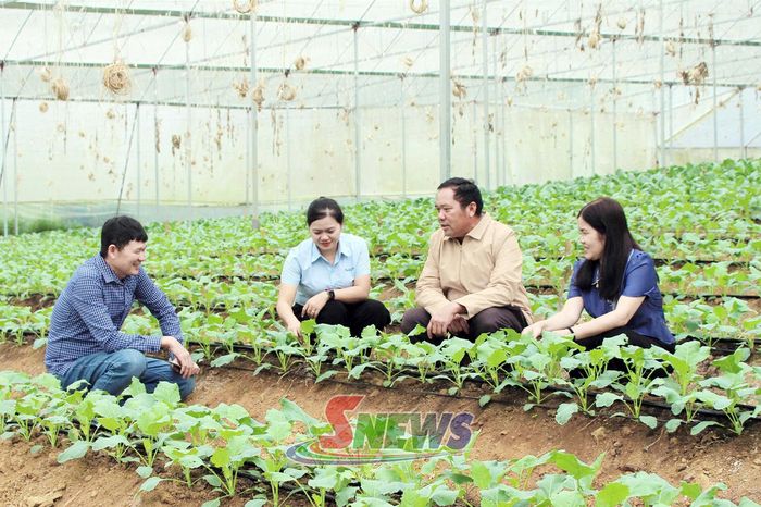 Cán bộ Trung tâm Khuyến nông và Chuyển đổi số tỉnh hướng dẫn giải pháp chăm sóc sức khỏe đất với thành viên HTX Nông Xanh.
