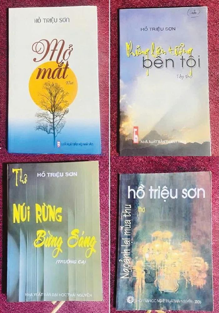 Một số cuốn sách của tác giả Hồ Triệu Sơn.
