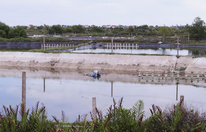 Ông Trần Quỳnh Thao, Chủ tịch UBND xã Đan Hải (Hà Tĩnh) cho biết: Đường dẫn dự án đi qua đất nuôi trồng thủy sản, còn mố cầu thì đi qua đất nông nghiệp của người dân. Dù hướng tuyến cụ thể chưa có nhưng xã cũng đã cho rà soát lại đất nông nghiệp khu vực này để sẵn sàng cho công tác GPMB khi dự án triển khai.
