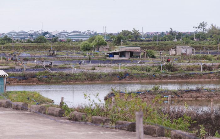 "Dù cách nhau mỗi sông Lam, nhưng để sang Vinh người dân phải chạy hơn chục km lên cầu Bến Thủy 1 hoặc đi xa hơn nếu qua cầu Cửa Hội. Vì vậy, khi nghe tin sắp có cầu Bến Thủy 3, dân chúng mừng lắm. Việc giao thương, buôn bán từ nuôi trồng thủy sản, nông nghiệp của người dân sẽ thuận tiện hơn nhiều", ông Nghĩa nói.