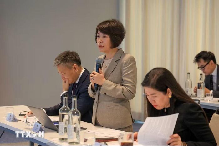 Thứ trưởng Bộ Tài chính Nguyễn Thị Bích Ngọc chia sẻ về các chính sách ưu đãi, hỗ trợ đầu tư mới của Việt Nam. Ảnh: Anh Hiển - TTXVN