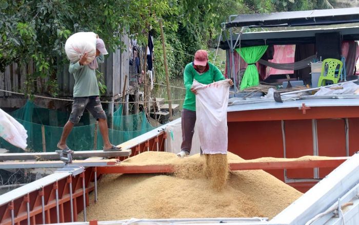 Không để nông dân vừa mất mùa vừa mất giá.
