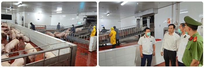 Phòng An ninh kinh tế - CATP Hà Nội phối hợp Chi cục Chăn nuôi, Thủy sản và Thú y Hà Nội kiểm tra công tác phòng chống dịch bệnh tại Công ty cổ phần chăn nuôi CP (Ảnh:CAHN)