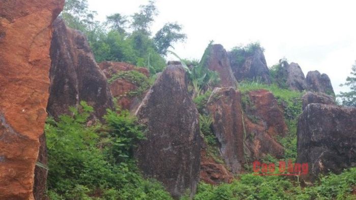 Đỉnh các phiến đá phủ màu nâu đỏ đặc trưng, tạo nên sự tương phản ấn tượng với nền đá vôi xám làm nổi bật giá trị địa chất và vẻ đẹp riêng có của Vườn đá Hoàng Tung.