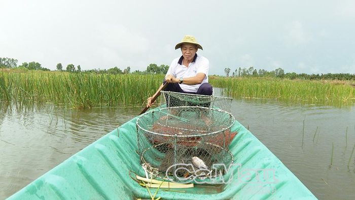 Ông Nguyễn Văn Hùm (ấp Xẻo Gừa, xã Ninh Thạnh Lợi) phấn khởi nhờ nguồn thu nhập ổn định từ mô hình tôm - năn.