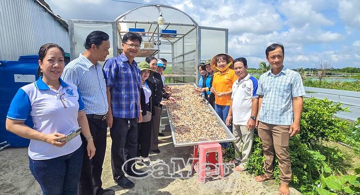 Bà Nguyễn Thị Ngọc Thúy cùng đoàn công tác khảo sát mô hình trồng rong câu Thái tại Hợp tác xã Rong biển Đầm Dơi.