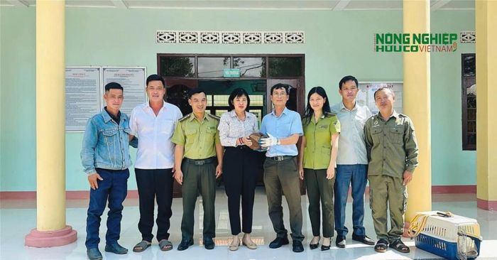 Đồng chí Phạm Thị Thúy, Phó Bí thư Đảng ủy xã Đức An trực tiếp đến Hạt Kiểm lâm Nam Nung để kiểm tra công tác tiếp nhận. Ngay sau đó, chính quyền địa phương và Hạt Kiểm lâm Nam Nung đã bàn giao cá thể Tê tê Java cho Trung tâm Tuyên truyền, Du lịch và Cứu hộ, Bảo tồn (thuộc Ban Quản lý Vườn quốc gia Bù Gia Mập) để tiếp tục chăm sóc, theo dõi trước khi thả về môi trường rừng tự nhiên