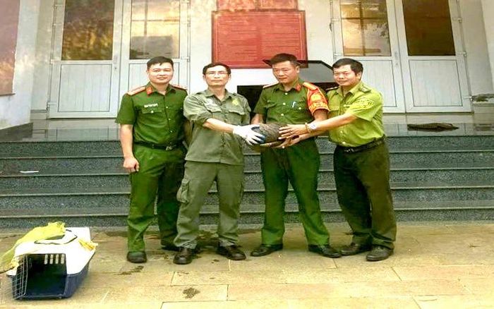  Công an xã Phú Riềng bàn giao cá thể tê tê cho Hạt Kiểm lâm khu vực VIII để chăm sóc, bảo vệ và thả về môi trường tự nhiên theo quy định. Ảnh: CA TP. Đồng Nai 