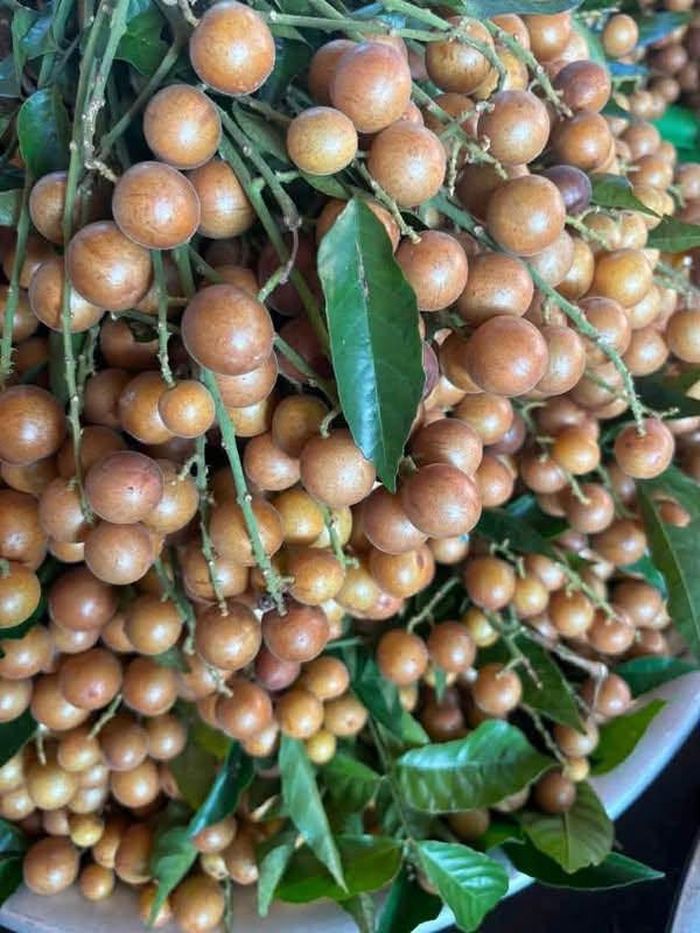Quất hồng bì nên chọn những quả sẫm màu