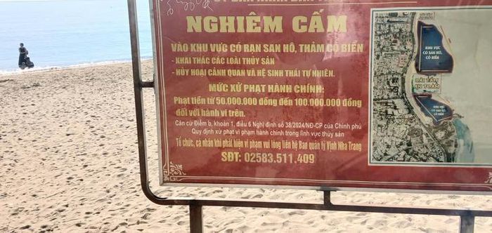 Biển báo mức xử phạt được thiết lập tại nhiều vị trí ven biển khu vực Nha Trang. Ảnh: Đ.H