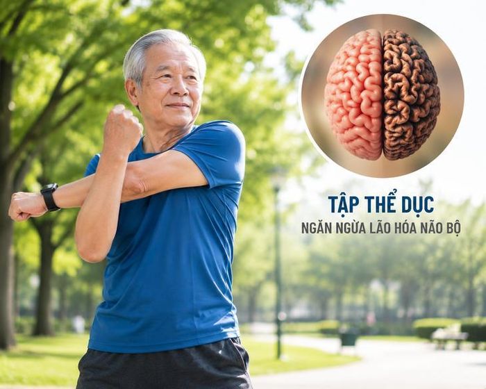 Tập thể dục là thói quen phổ biến nhưng hiệu quả cao giúp làm chậm lão hóa não và duy trì sự minh mẫn. Ảnh AI