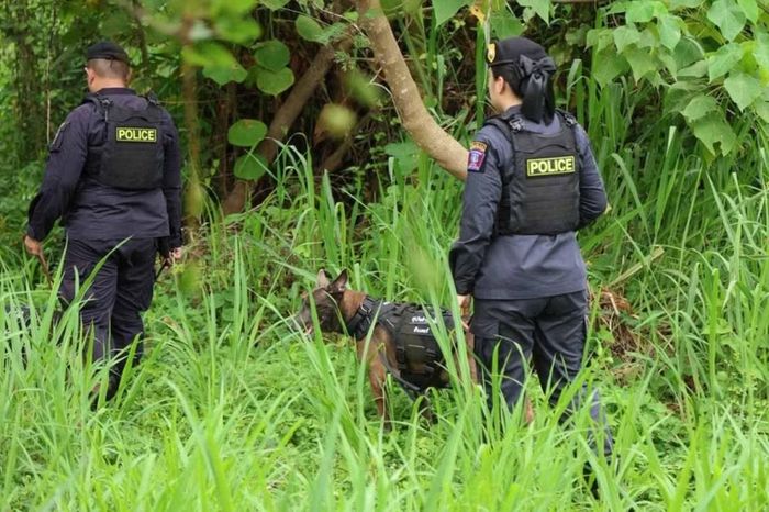 Cảnh sát dùng chó nghiệp vụ để tìm kiếm các nạn nhân ở Chonburi. Ảnh: Amporn Sangkaew/ Bangkok Post.